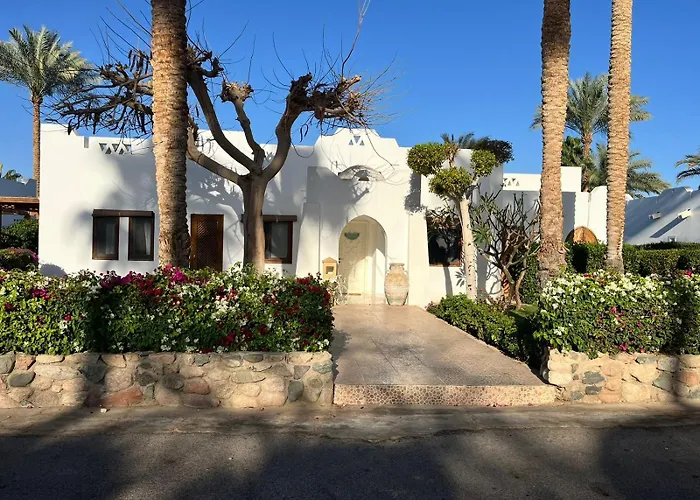 Domina Coral Bay